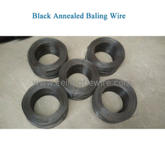 Paper 12 Gauge Black Annealed Baling Wire 100# For Cardboard And Paper