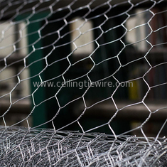 HDG Galvanised Metal Netting Mesh Hexagonal Chicken Wire 1/2&quot;X1/2&quot; 4ftx150ft